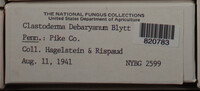 Image Associated With the Occurence